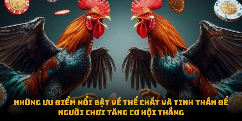 Những ưu điểm nổi bật về thể chất và tinh thần để người chơi tăng cơ hội thắng