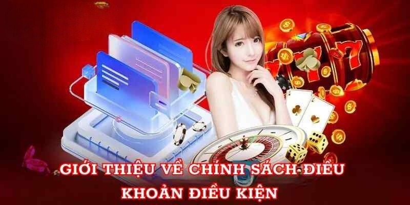 Phân tích vai trò của điều khoản sử dụng 79king